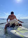 Plaža u Kampu u Njivicama omiljena mu je zbog uređenosti i pseće plaže