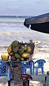 Na plažama Indijskog oceana može se piti kokosov sok i jahati na devama