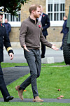 harry