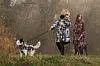 DORIS FATUR Shibesu - kolekcija za ljude i pse