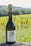 Pušipel iz vinograda i vinarije Dvanajscak u Medjimurju