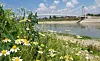 Fotografije: Sisak.info