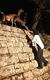 Treba nahraniti sve koji vole teatar