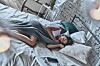 Peaceful sleep. Top view of attractive young woman covered with blanket keeping eyes closed and smiling while lying on the bed at home