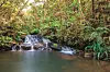 Nacionalni park Andasibe