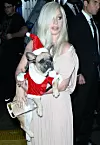 Gaga obožava svoje dlakavce, pa se nerijetko i na crvenom tepihu pojavljivala s njima