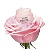 Baume De Rose balzam za usne, 355 kn/47,12 €, BY TERRY