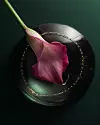 PRESS