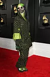 26 January 2020 - Los Angeles, California - Billie Eilish. 62nd Annual GRAMMY Awards held at Staples Center., Image: 494979881, License: Rights-managed, Restrictions: *** World Rights ***, Model Release: no, Credit line: Admedia, Inc / ddp USA / Profimedia