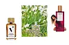 L’Eau des Immortels s mirisom smilja i smole drveća EdP 75 ml, 195,76 €/1475 kn VOYAGES IMAGINAIRES/ Narcisse je nadahnut proljetnom svježinom EdT 50 ml, 20 €/150,69 kn, fragonard.com FRAGONARD/ Zaštitno lice parfema Earth s notama ljubičice, kruške i tartufa britanska je glazbenica Ama Lou EdP 50 ml, 89 €/670,58 kn LOEWE