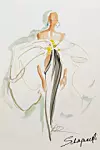 Schiaparelli
