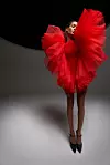imaxtree Giambattista Valli