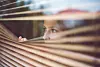 iStock-1083678568