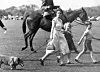 Kraljica sa starijom djecom, Princom Charlesom i princezom Anne, na konjičkoj utrci, 1956.