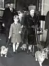 Na putu za Sandringham, sa sinovima Charlesom i Andrewom te ljubimcima korgijima, 1971.