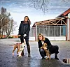 Vanja Horvat i Emina Šokota Zeotex doniraju i azilu za napuštene životinje u Dumovcu.