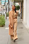 Jasmine Tookes Ariju nosi kao clutch