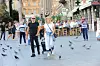 Spica / Zagreb 27.08.2018. / foto: Davor Matota / Mirna Zidaric i suprug Zoran
