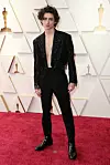 Zvijezda nove generacije Timothee Chalamet u Louisu Vuittonu