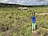 Južna Afrika savršena je safari destinacija