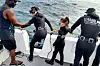 U gradiću Simon‘s Town okušali su se u ronjenju s morskim psima
