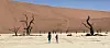 Mrtva močvara u nacionalnom parku Namib-Naukluft (Namibija)