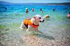 U Puli ima čak devet plaža na koje možete povesti i psa