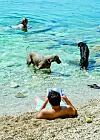 Iz sezone u sezonu svje je više plaža za pse i u Dalmaciji