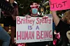Pokret Free Britney i dalje je uz pjevačicu u njezinoj borbi za slobodu.