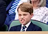 25427827