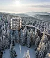 Vidikovac na Putu među krošnjama