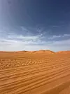 Sahara