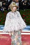 Anna Wintour na ovogodišnjoj Met Gali Fotografija: Stephen Lovekin/BEI/Shutterstock