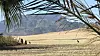 Sossuvlei, druženje sa crnoleđim čagljevima (Namibija)