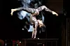 Mint Cabaret Dinner Show