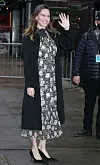 Hilary Swank obznanila je da čeka blizance