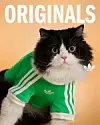 Maca u zelenoj adidas majici
