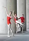 Promo