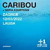 Caribou u Laubi
