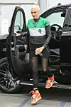 Pjevačica Gwen Stefani 2016.