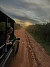 Posjetili su i safari u Yala Nacionalnom parku gdje su imali priliku vidjeti divlje životinje u njihovom prirodnom staništu