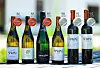 Vinarija Štampar