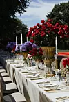 IRINA AND MATEJ WEDDING