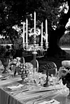 IRINA AND MATEJ WEDDING