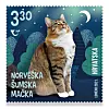 Norveška šumska mačka