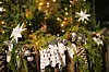 Advent iz davnina u Slavonskom Brodu
