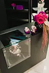 Versace dekoracije