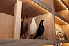 LUKA REBERNIšAK
