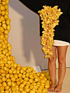Tulip studio