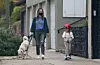 Los Angeles, CA - *EXCLUSIVE* Actress, Olivia Wilde and her daughter enjoy a nice stroll while walking their dog in their Los Angeles neighborhood. While Olivia donned a mask for protection her daughter opted for no mask but helmet protection while riding her scooter. *UK Clients - Pictures Containing Children Please Pixelate Face Prior To Publication*, Image: 513721498, License: Rights-managed, Restrictions: , Model Release: no, Credit line: Javiles/Bruce / BACKGRID / Backgrid USA / Profimedia